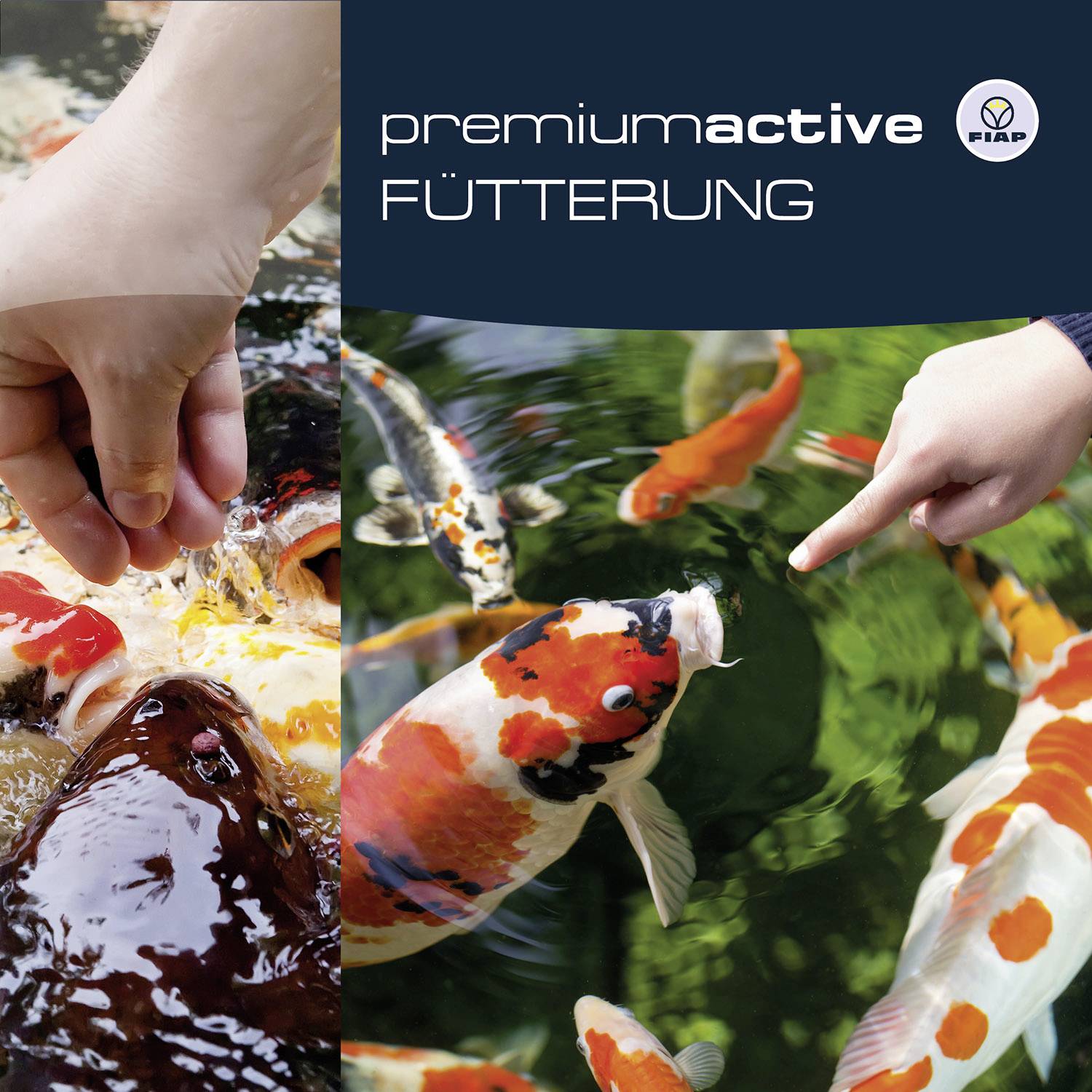 Two hands are feeding colourful koi carp in a pond. Text: 'premium active FEEDING' with a logo in the top right corner.