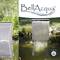 'Advertising poster for BellAcqua Waterfall product with stylised outdoor waterfall image and company logo.'