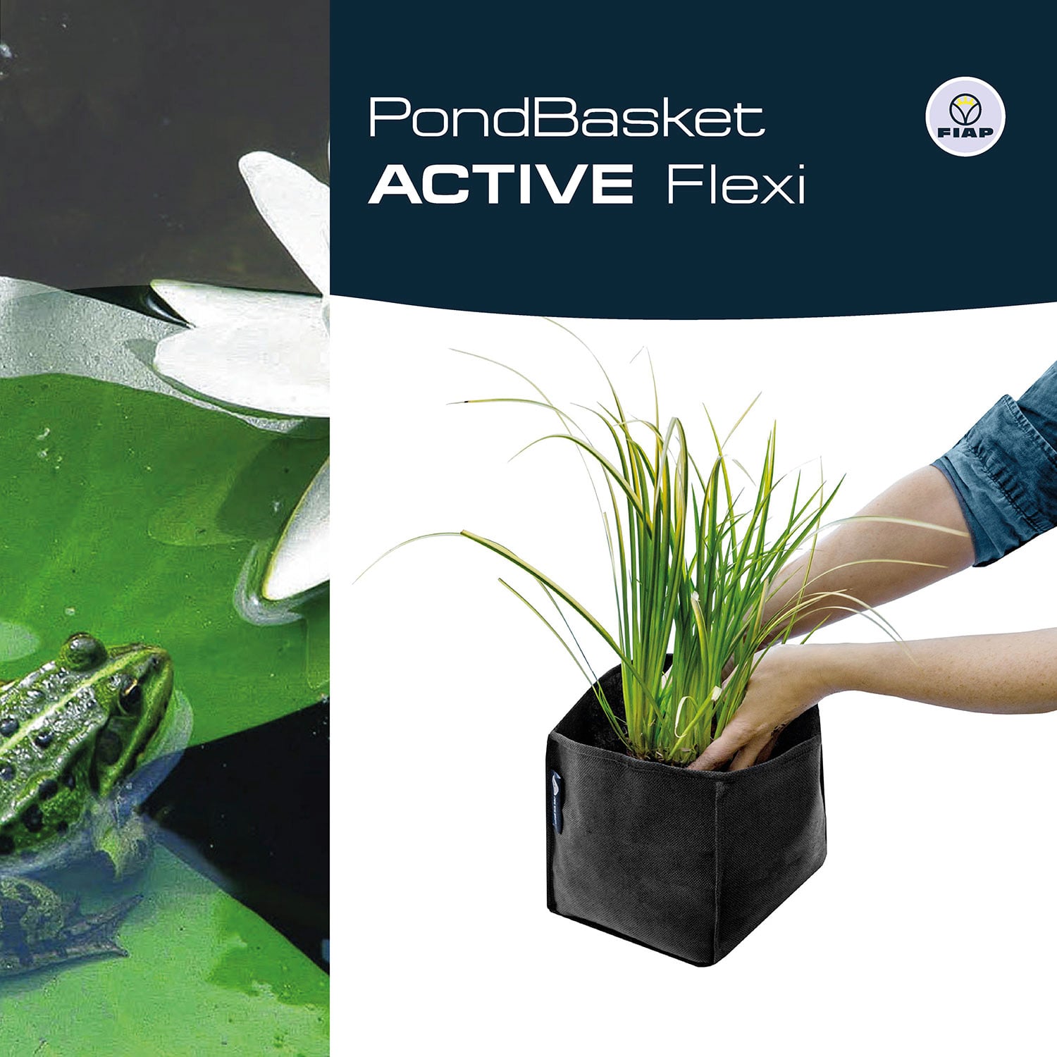A frog in water beside a flower on the left. On the right, a hand is holding a black flexible plant pot with grasses.