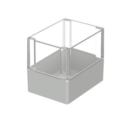 Transparent, rectangular plastic container with a removable lid, set against a neutral background.