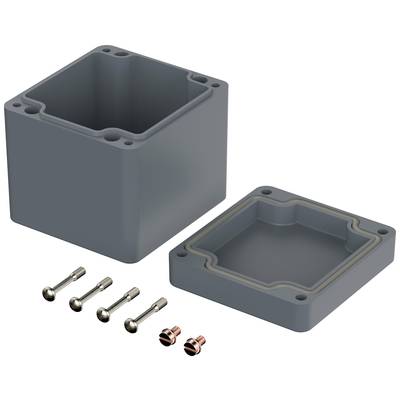 Grey divided: Rectangular enclosure with removable lid, four screws, and two mounting brackets.