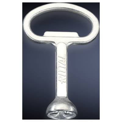 Rittal HD 2549600 Switchboard key Double sided ward Steel 1 pc(s)