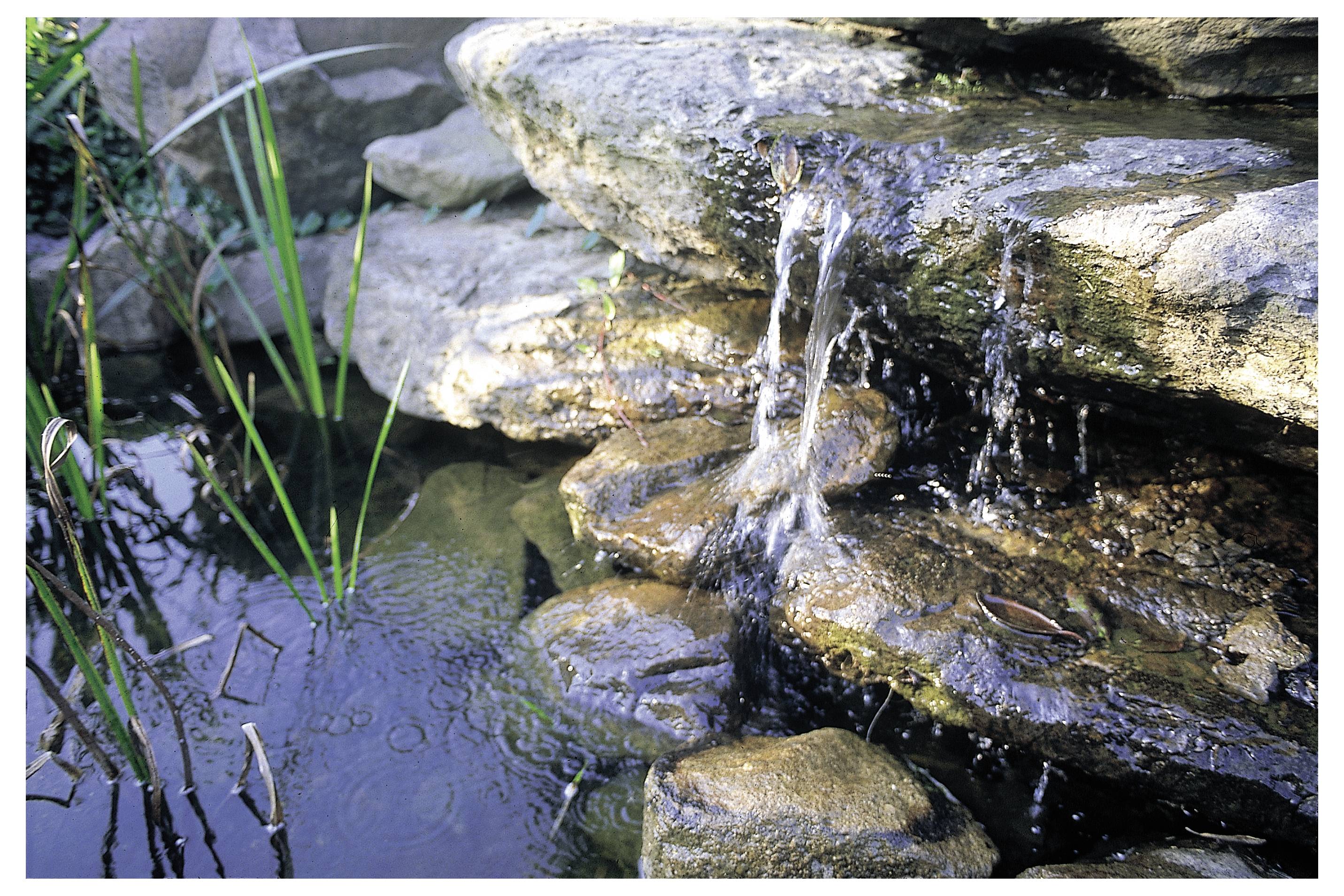 A small waterfall flows over layered rocks into a clear pond surrounded by green plants.