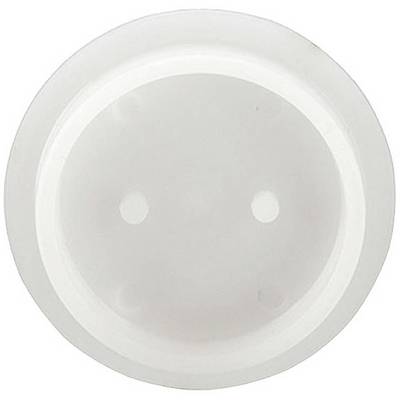 White, round plastic disc with two point markings and a smooth surface.