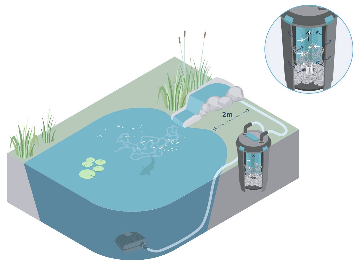 Water garden filter system shows a pump connected to a filter with bio-balls, positioned 2 meters apart, illustrating water flow.