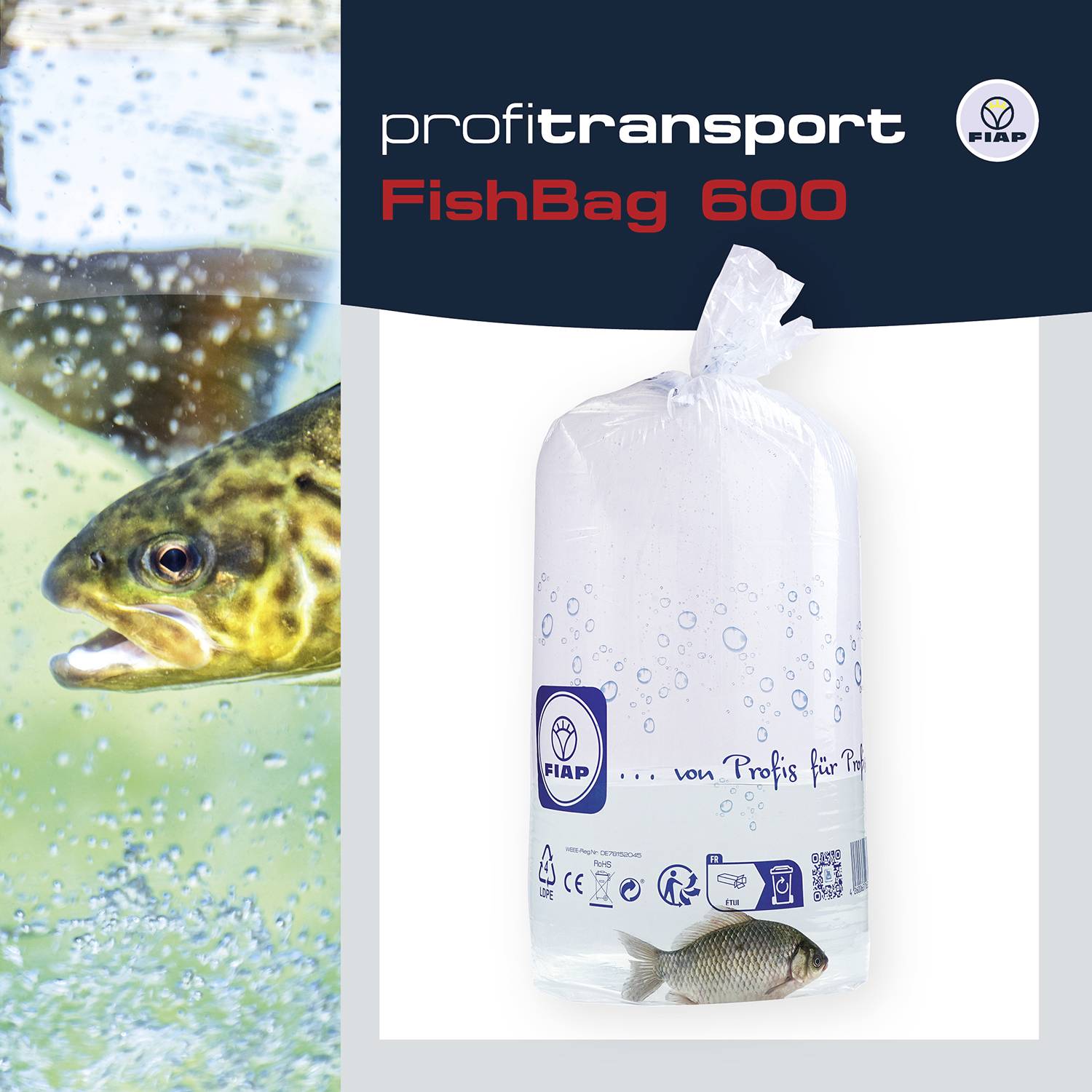 A fish swims in water beside a large, transparent plastic bag with water, with 'FishBag 600' written on it; brand logo visible.