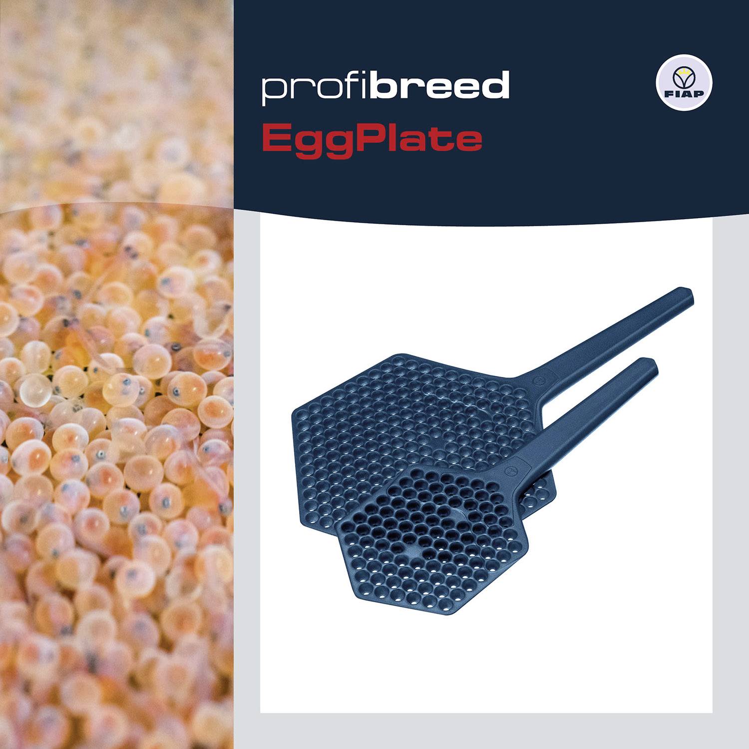 The marketing brochure displays a set of egg trays with handles by profibreed for rearing fish eggs, alongside a close-up of fish eggs.