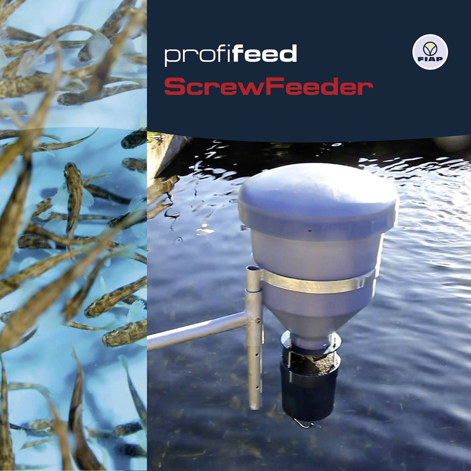 Young fish swim in the water. On the right, an automatic feeding system with the label 'profifeed ScrewFeeder' from FIAP.