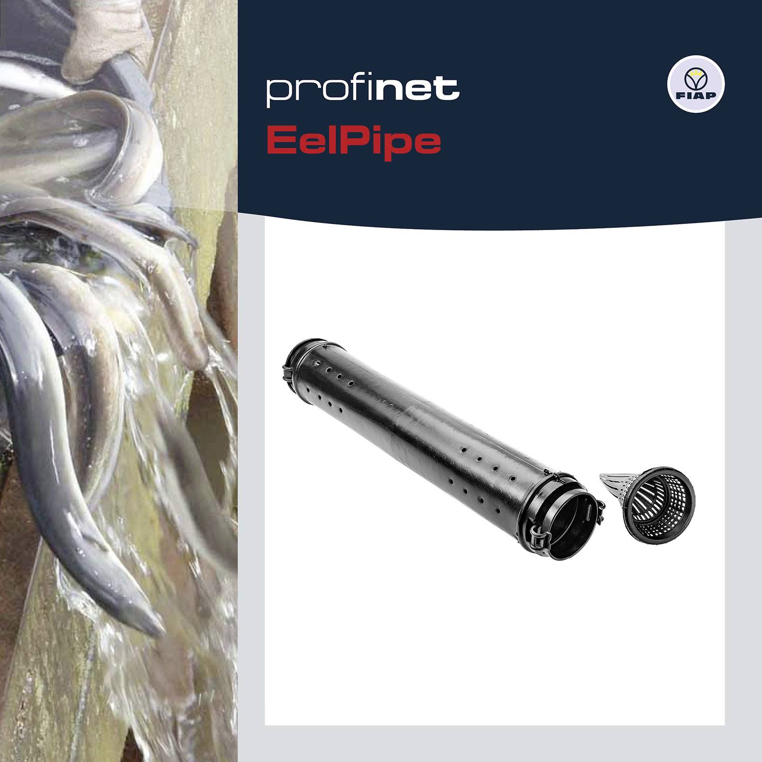 'Eels glide into a pipe system called EelPipe. Next to the pipe, a sieve is visible. The logo in the top right shows FIAP.'