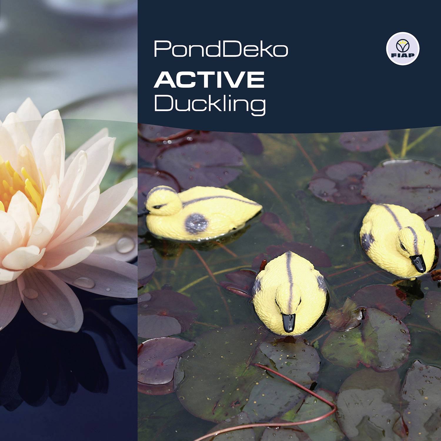 'Plastic ducks float on a pond next to a water lily. Title: Pond Decor Duckling. FIBAP logo top right.'