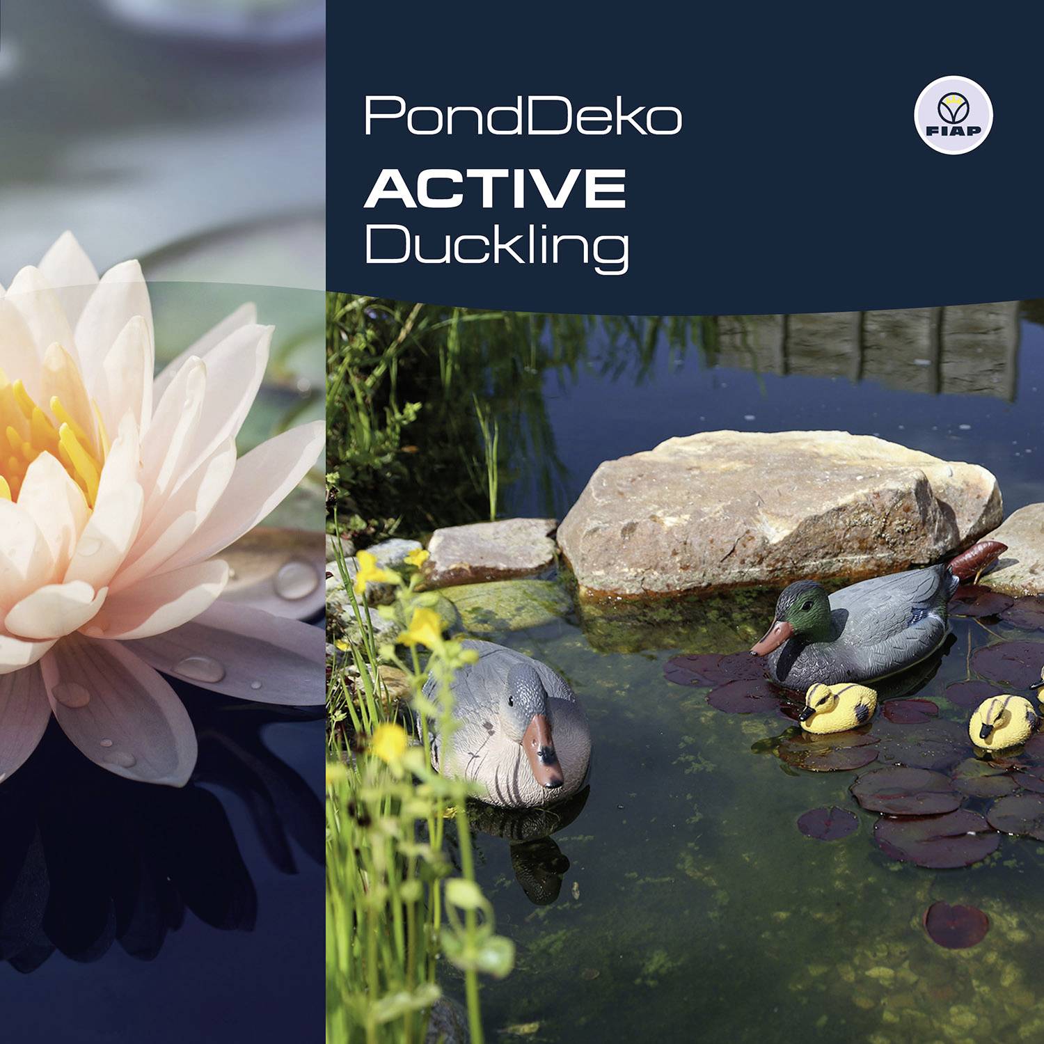 A duck family swimming beside a rocky shore in a pond; text on the image reads 'PondDeko', 'Duckling'.