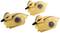 Three yellow toy ducks with black spots are swimming.
