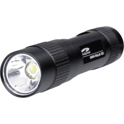 LiteXpress Mini-Palm 101-2 LED (monochrome) Mini torch Key ring battery-powered 67 lm 1.5 h 26 g-1