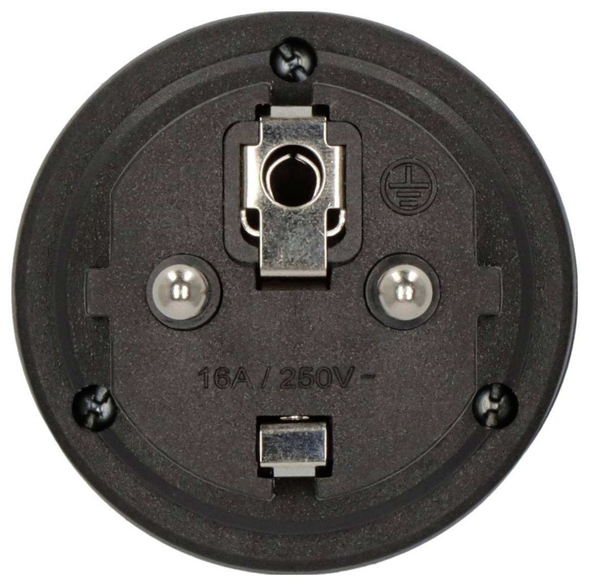 Close-up of a round black electrical socket face with two screw terminals, a central grounding contact, and '16A/250V' printed on it.