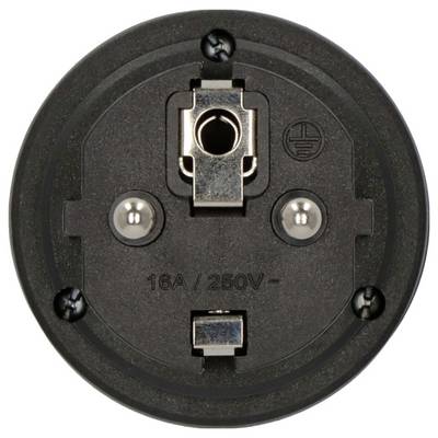 Close-up of a round black electrical socket face with two screw terminals, a central grounding contact, and '16A/250V' printed on it.