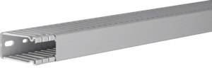 Hager BA6 60025 Cable duct (L x W x H) 2000 x 31 x 64 mm 1 pc(s) Multicolour