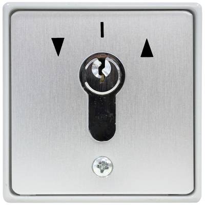 Kaiser Nienhaus 322200  Door opener key switch   Flush mount