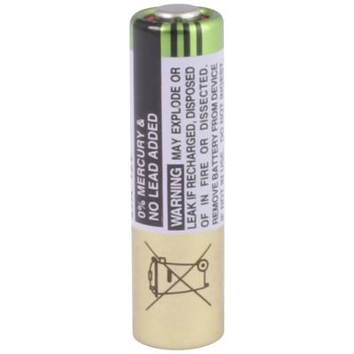 Alkaline Battery with Warning Labels: 'Do not dispose of in fire, may explode or leak'. Green and gold design.