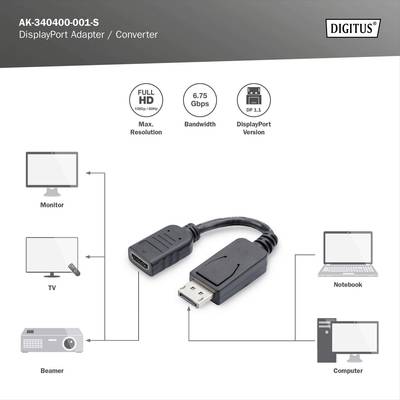 DisplayPort Adapter/Converter shows connection options: Monitor, Projector, TV, Laptop, Computer. Supports Full HD and DisplayPort 1.1.