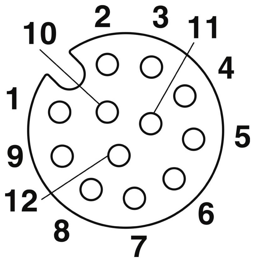 'Diagram of a 12-pin connector, labeled clockwise from 1 to 12, with pin 10 having a slot.'