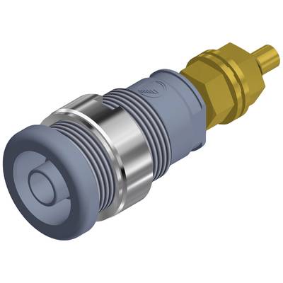 Metallic quick-release coupling with cylindrical shape, blue rubber edges and gold-coloured push-fit connector.