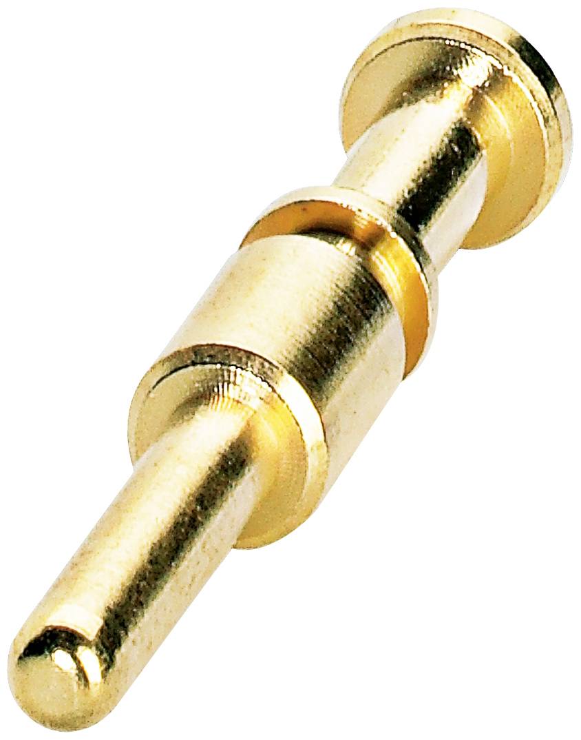 Golden metal pin in close-up, positioned on its side.