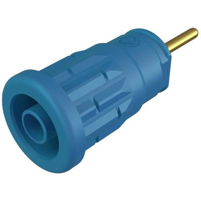 A blue and gold electrical plug, cylindrical and ridged, enables connection to a compatible electrical device.