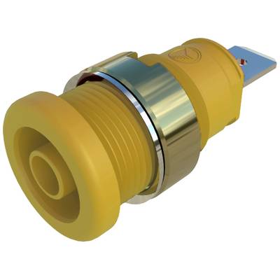 Yellow, metal-rimmed, cylindrical electrical connector with screw thread and flat connection for electrical connection.