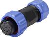 Weipu SP2110 / S 9 II Bullet connector Socket, straight Total number of pins: 9 Series (round connectors): SP21 1 pc(s)