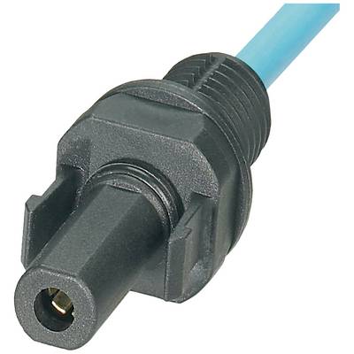 Close-up of a black connector with a blue cable. The plug has a cylindrical shape and appears to be designed for electrical connections.