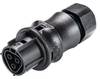 Wieland Electric 96.031.0053.1 Plug Connector With Screw Connection, Series Gesis IP+ RST 20i3 Pins: 3