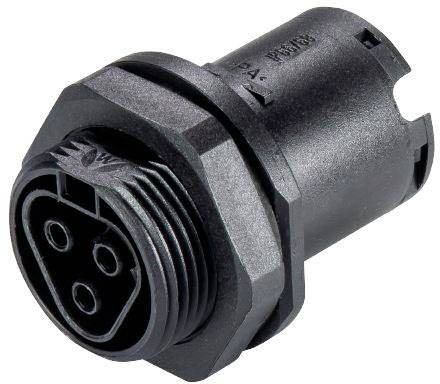 MALE CONNECTOR RST25I3S S1 M01V BG03 WIELAND 96.032.5054.3