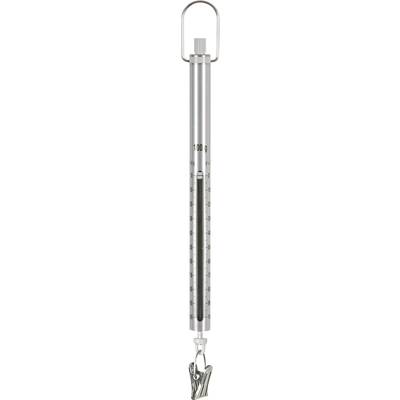 A silver-coloured spring balance, measuring weights up to 100 g; scale and hook for precise weight measurement.