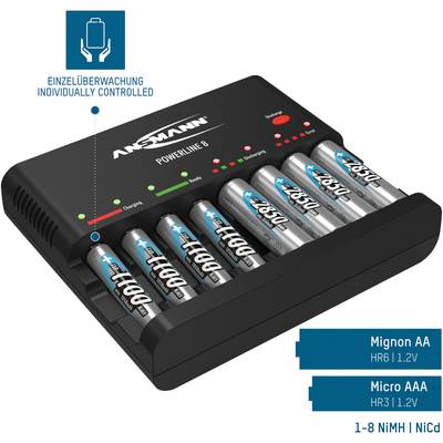 A battery charger with eight AA batteries inserted. Inscription shows 'Individual monitoring' and information about battery types.