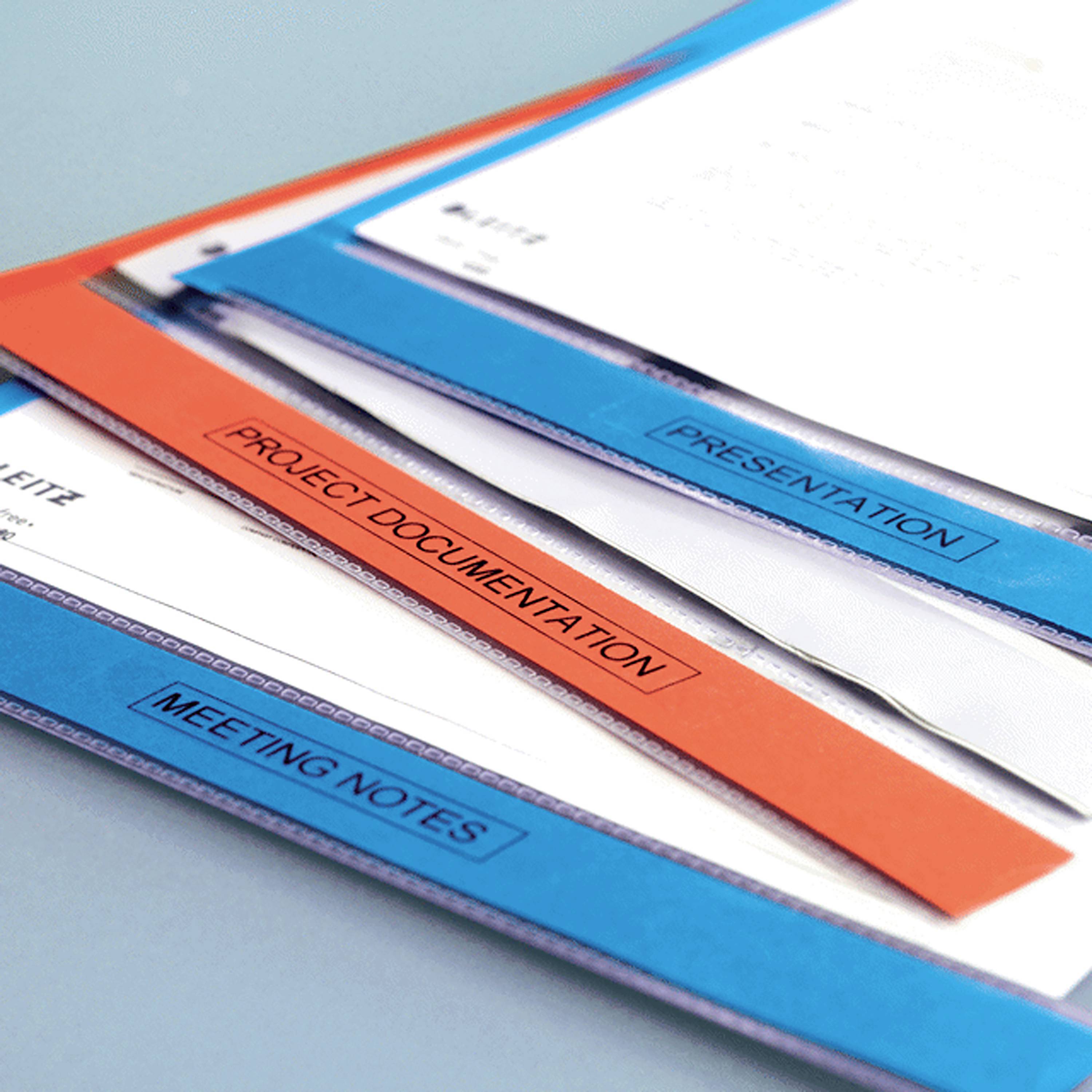'Document folders with labels: "Presentation", "Project Documentation" and "Meeting Notes", lying on a table.'