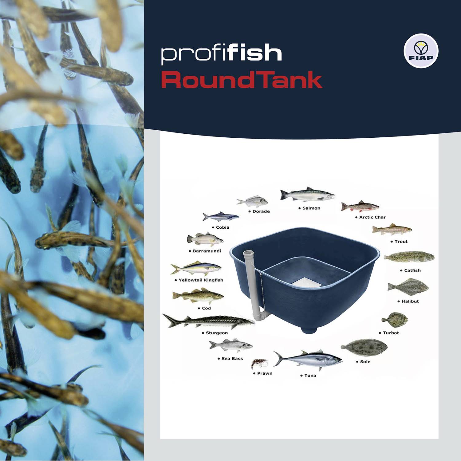 FIAP 1377 premiumdesign DecoBall 30 Decorative sphere-5