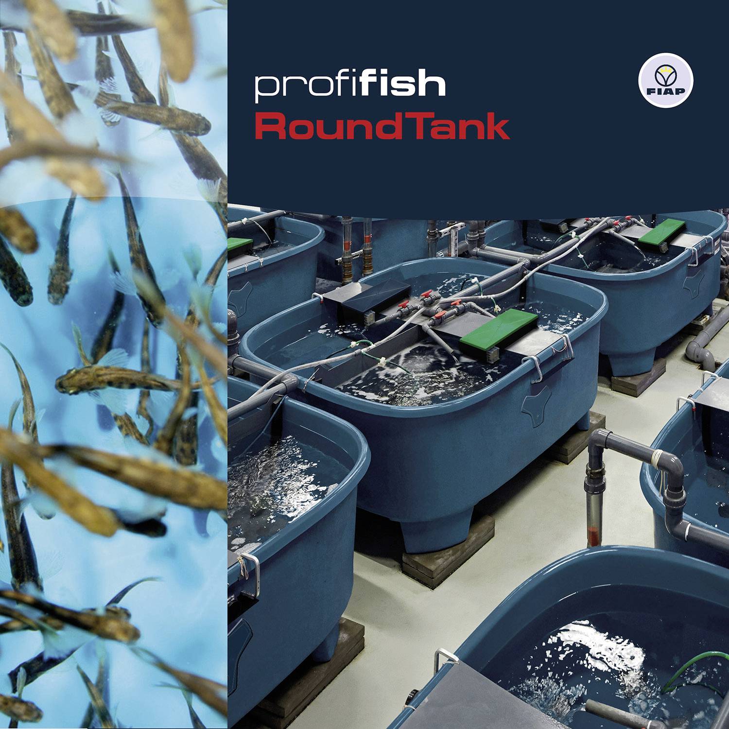 FIAP 1377 premiumdesign DecoBall 30 Decorative sphere-6