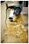 Electric drill with a chisel bit carving a groove in a wooden plank, with wood shavings scattered around.