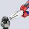 A red and blue pair of pliers grips a rusted bolt with a nut. The pliers are holding the bolt firmly, which is rusty and damaged.