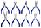 Eight different pliers with blue handles, each with different shapes and functions, are arranged side by side.
