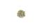 A variety of small, brown and beige dried seeds, densely arranged in the centre of the image, against a white background.