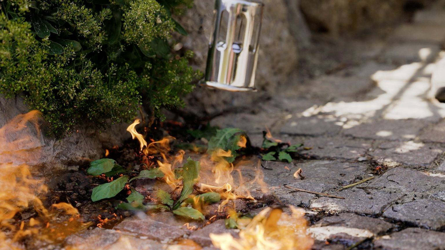 Weeds are being removed with a flame on a paved pathway. A metal nozzle is visible above the burning weeds.