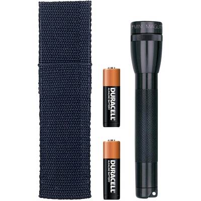 Torch with its case and two batteries beside it.
