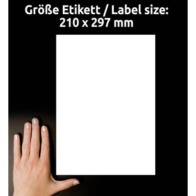 A hand lies next to a white sheet of paper. Above it is written 'Größe Etikett / Label size: 210 x 297 mm'.