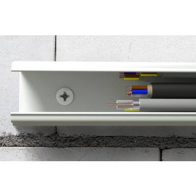 Cross-section of electrical conduit showing several insulated wires and cables running through a wall channel behind a metal cover plate.