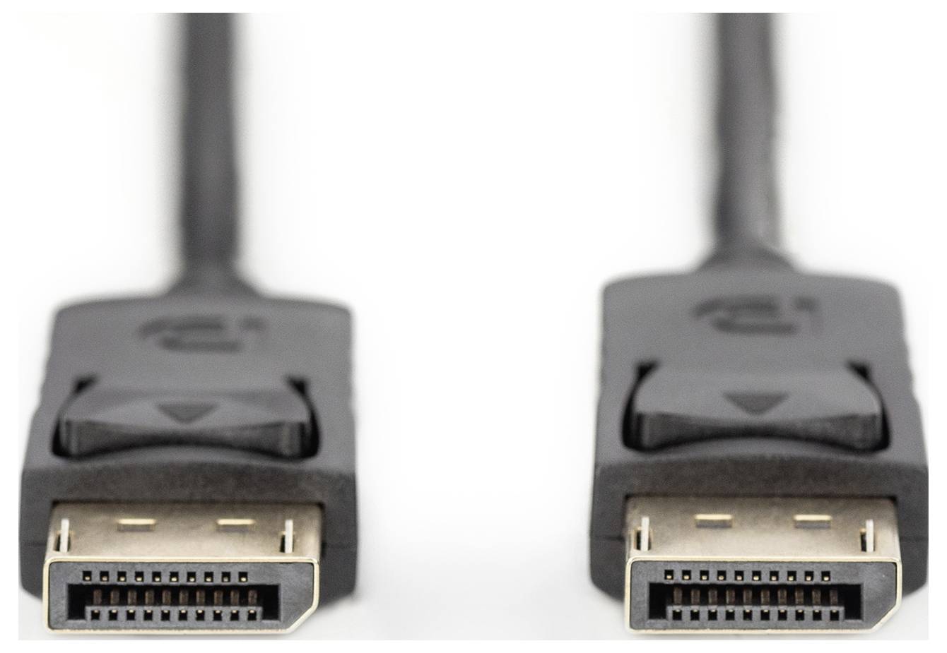 Two DisplayPort plugs side by side, used for connecting computers to monitors for transmitting video and audio signals.