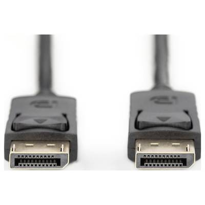 Two DisplayPort plugs side by side, used for connecting computers to monitors for transmitting video and audio signals.