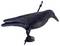 A realistic black crow decoy with detailed feather texture stands on a detachable base and comes with a stake for mounting.