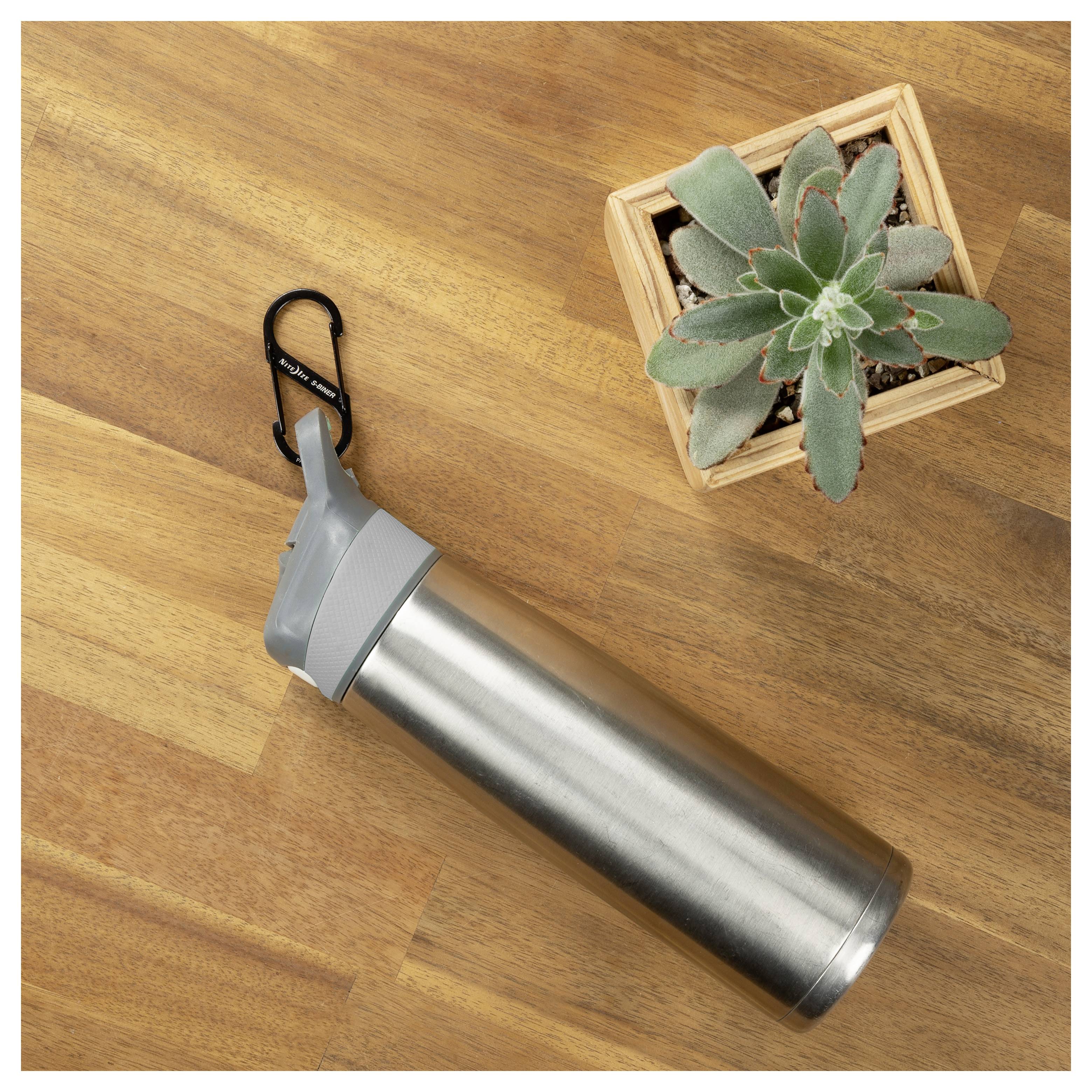 A stainless steel water bottle with a carabiner lies on a wooden table beside a small potted succulent.