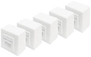 Digitus Network outlet Surface-mount CAT 6 2 ports Pure white